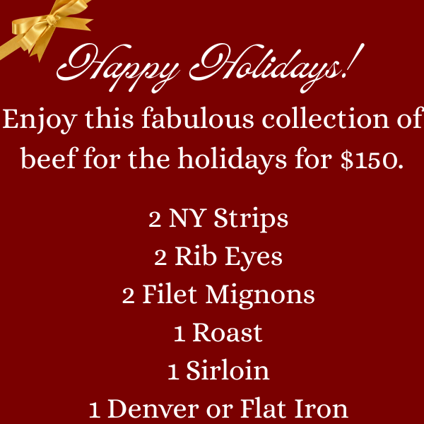 Holiday Delight Bundle