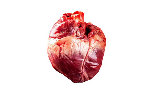 Beef Heart
